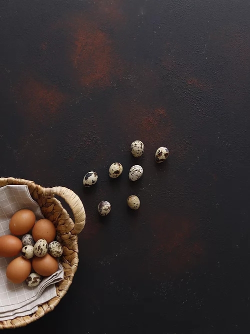 Fotoğraf Zemini 70X100 ZF137